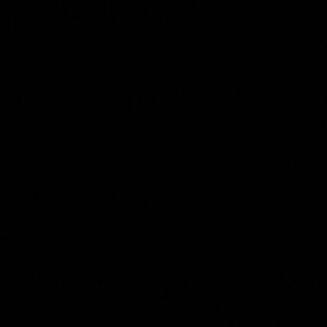 Meet your Posher, Maya